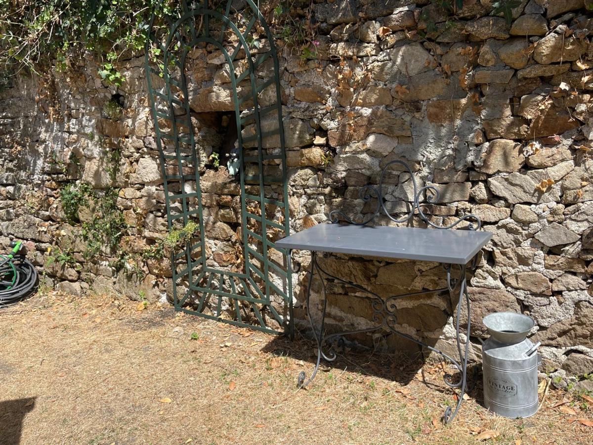 Le Patio, Coeur De Ville Avec Garage Et Jardin Vannes Bagian luar foto